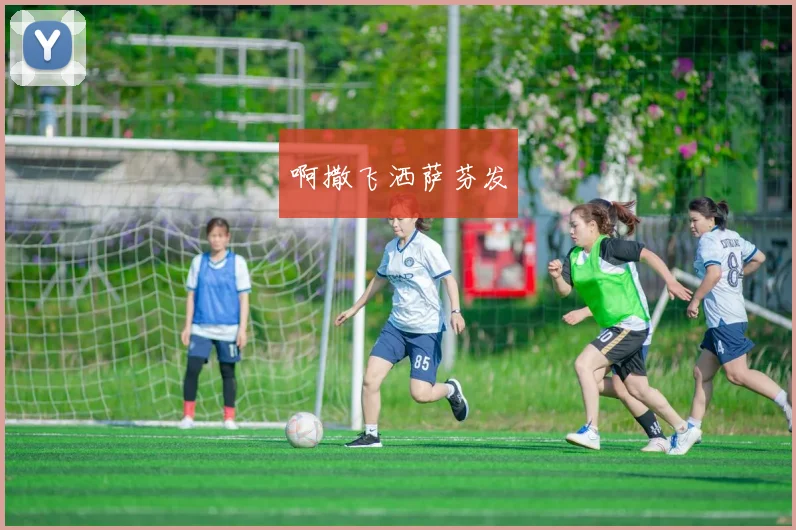 世界杯足球报聚焦赛事动态与球队备战安排