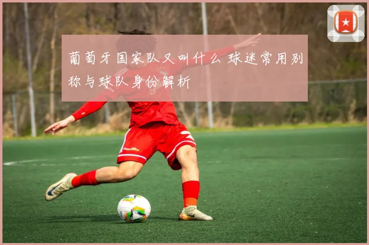 葡萄牙国家队又叫什么 球迷常用别称与球队身份解析