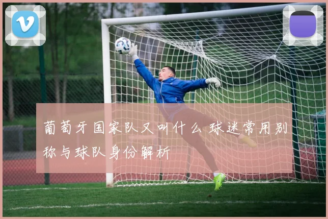 葡萄牙国家队又叫什么 球迷常用别称与球队身份解析