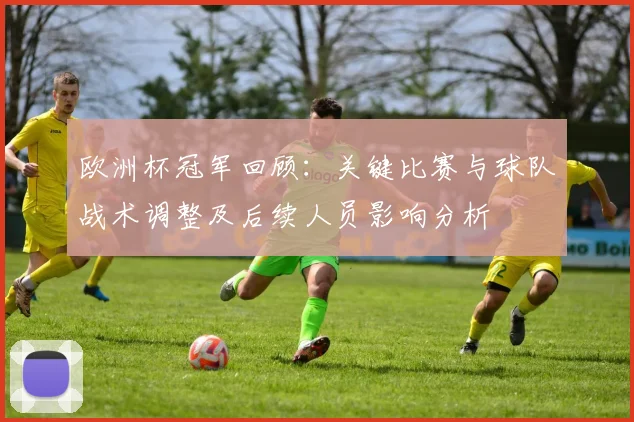 欧洲杯冠军回顾：关键比赛与球队战术调整及后续人员影响分析