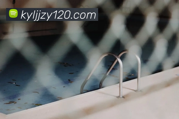 开云手机在线登录官网发展历程